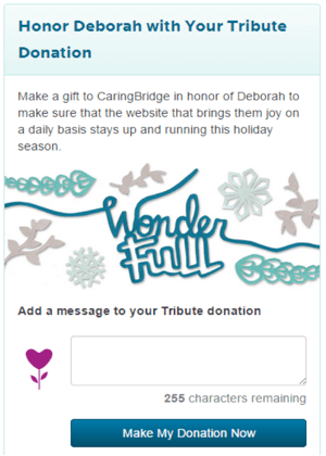 optimized donation page